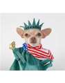 Statue of Liberty