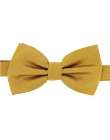 bowtie gold satin