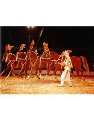 Circus