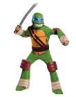 teenage mutant ninja turtle Leonardo