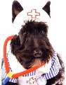 medical