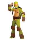 teenage mutant ninja turtle  Michelangelo