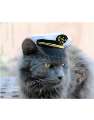 hello sailor