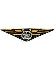 pilot wings badge