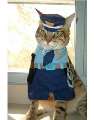police officer