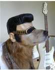 rocker