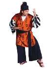Samurai Warrior