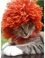 lion wig