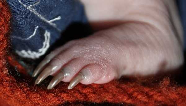 nails