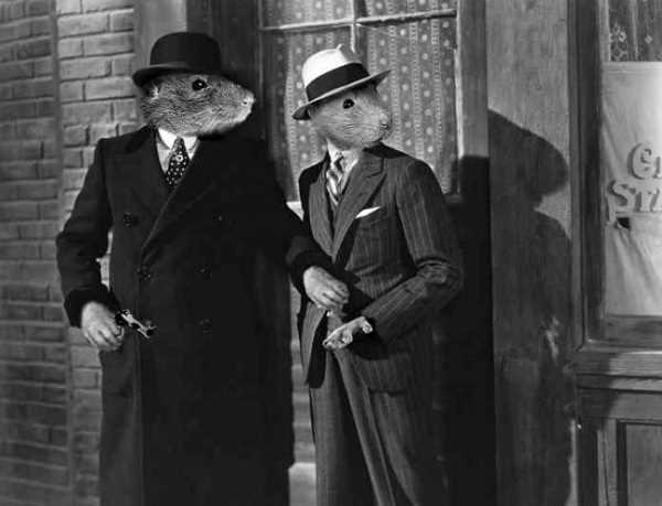 gangsters