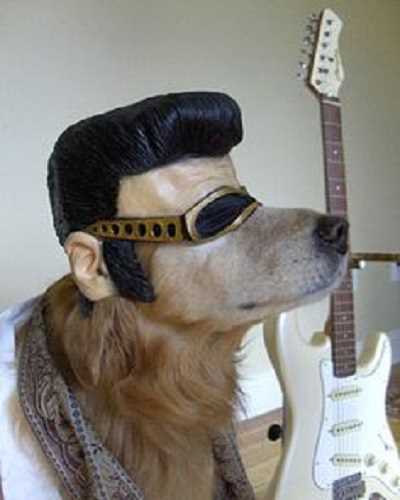 rocker