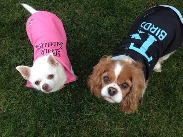Sandy and Danny