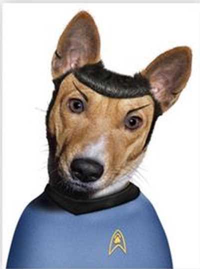 Star Trek Mr Spock