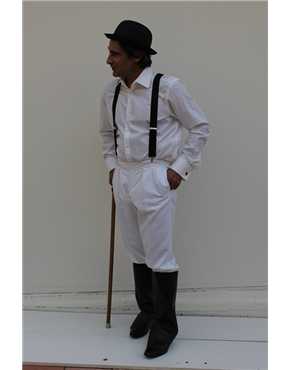 Alex Delarge Clockwork Orange view 2