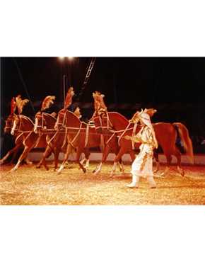 Circus
