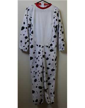 dalmatian dog front