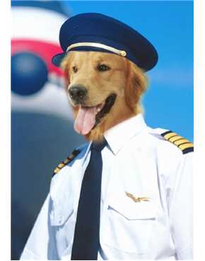uniforms
