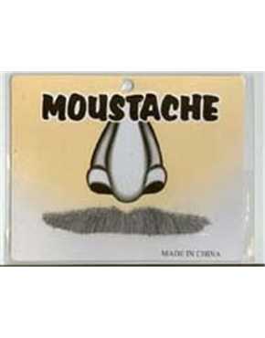 moustache grey