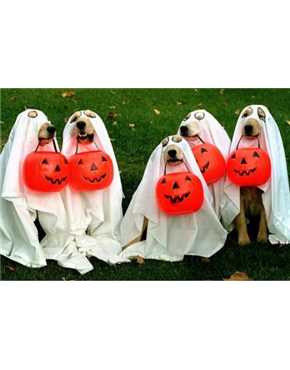 Ghosts