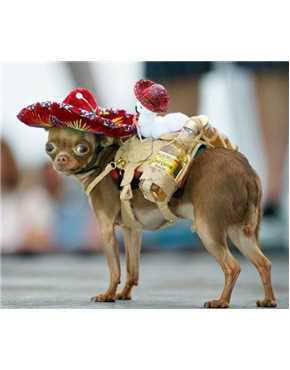 sombrero