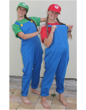 mario & luigi