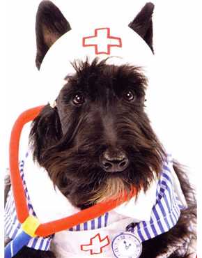 medical