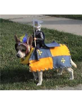 medieval knight on trusty stallion