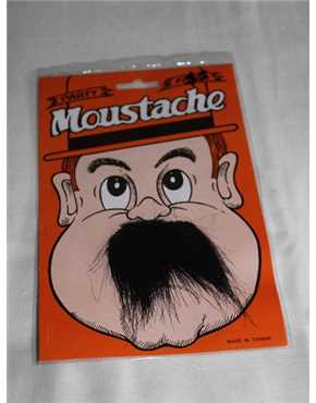 moustache reg