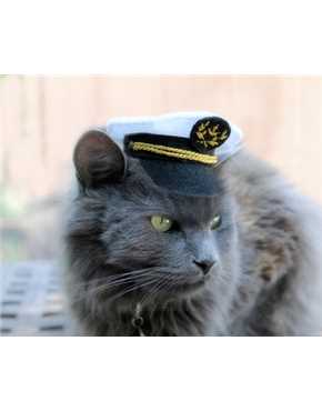 hello sailor