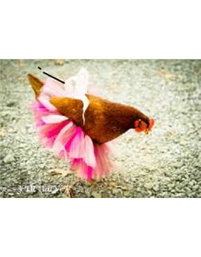 petticoat