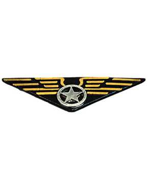 pilot wings badge