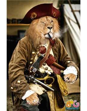 pirate