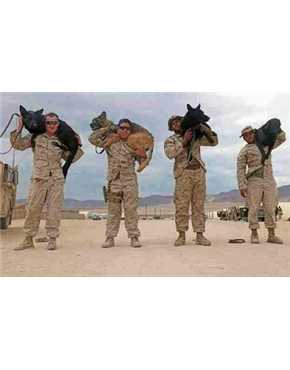soldiers