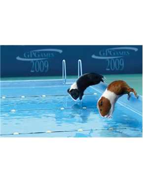 sport